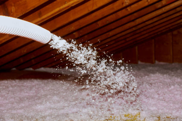 Best Insulation Installation Services in Vineyard, UT
